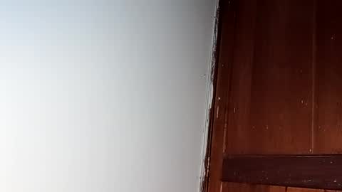 sam online show from February 28, 7:26 am