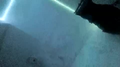 Snapshot of samael6699krk chatting on October 19, 1:10 am samael6699krk online show from October 19, 1:10 am