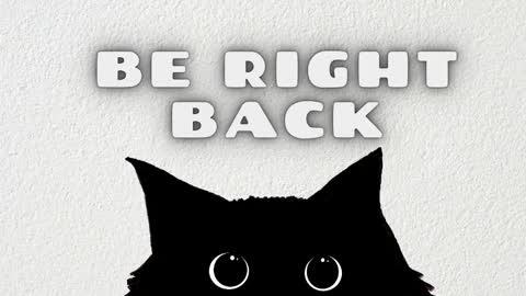 Sami and Lee online show from February 8, 8:34 pm