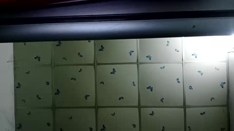 santichai561323 online show from February 19, 2:01 am