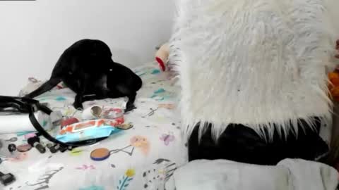 Sarah online show from March 14, 10:30 am