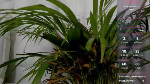 sarah_temptation online show from January 17, 10:18 pm