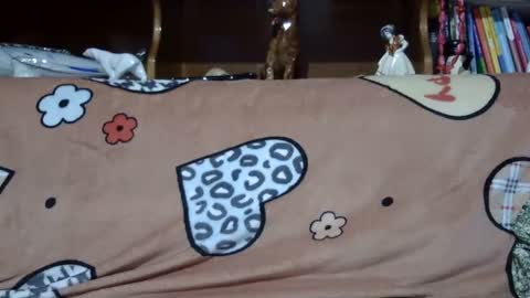 Sarra online show from February 6, 4:47 pm