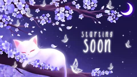 Sassy Sami Kittyn online show from November 3, 6:03 am