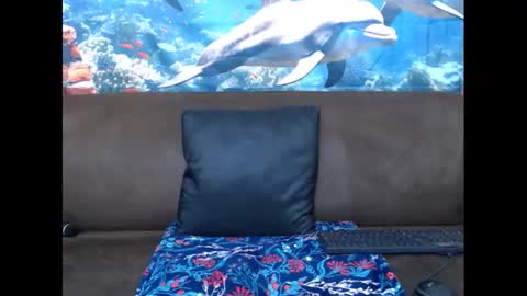 Snapshot of sasyylissaa chatting on March 3, 7:39 pm sasyylissaa online show from March 3, 7:39 pm