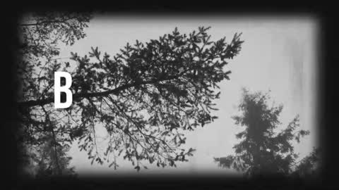 pronoun she. name Mary. age 21. online show from March 19, 11:31 pm