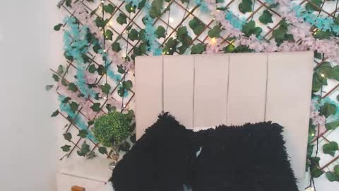 scarlet  online show from February 7, 12:30 pm