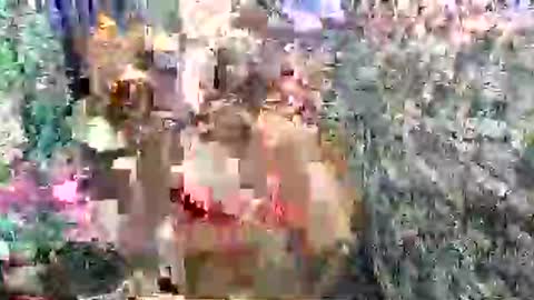 SCAS ANGEL S online show from April 27, 2:42 am