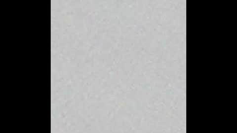 Scolw  online show from January 14, 12:02 pm