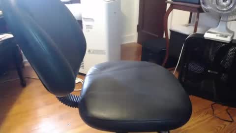 scottbearfun online show from August 4, 2:57 pm