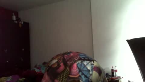 semental24cm online show from September 26, 7:22 pm