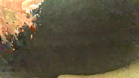 sencilloparati online show from July 3, 4:17 am