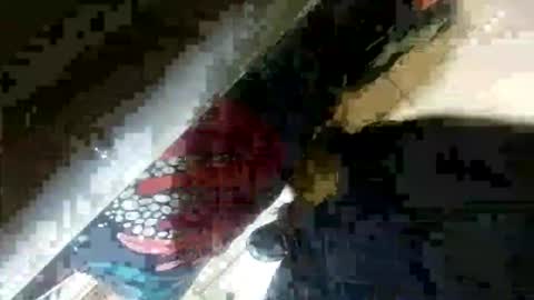 seus1149 online show from July 23, 7:06 am
