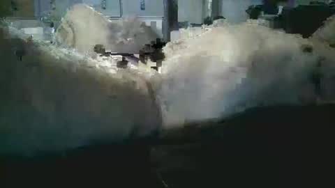 sexboy1437 online show from November 24, 10:14 am