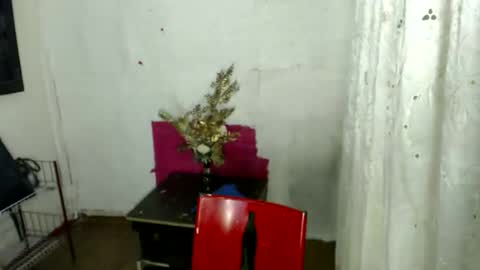 carl online show from April 13, 3:16 pm