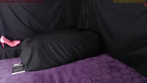 shadevenus online show from February 15, 2:58 am