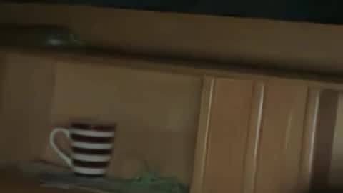 shahhahahahahah online show from January 17, 10:18 pm