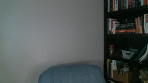 Snapshot of shamelesswetdream chatting on February 24, 1:35 am shamelesswetdream online show from February 24, 1:35 am