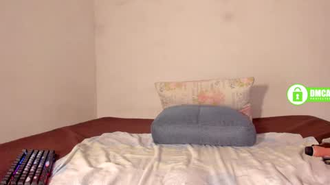 shack03 online show from February 2, 8:30 pm