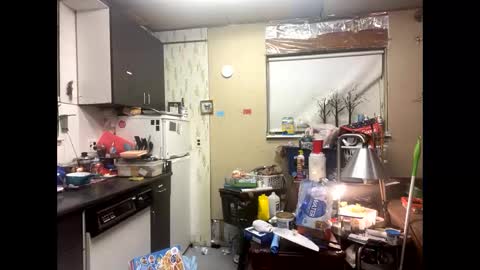 Shelby holes online show from December 9, 8:00 am