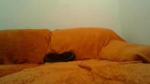 showherenow online show from March 8, 8:18 am