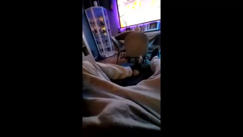 shynessy online show from February 10, 12:19 am