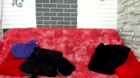 Silacitex  online show from March 11, 11:24 am