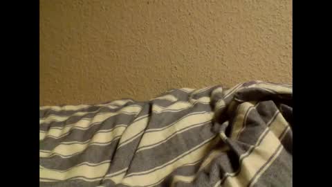 sircamalot45 online show from February 10, 10:30 pm