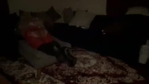 Phat Bouncy culo69 online show from March 4, 9:17 am