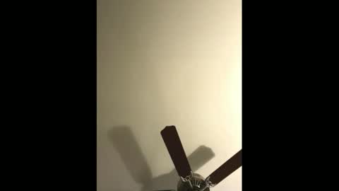 sissynovaholes online show from January 4, 2:56 am