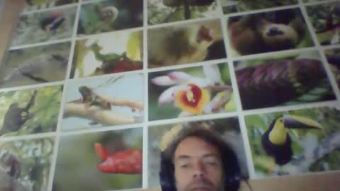 sji123 online show from February 22, 6:06 am