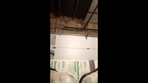 skeletorcock online show from January 19, 6:23 am