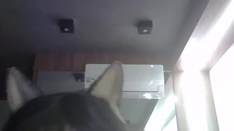 skinnykittencam online show from May 21, 9:16 am