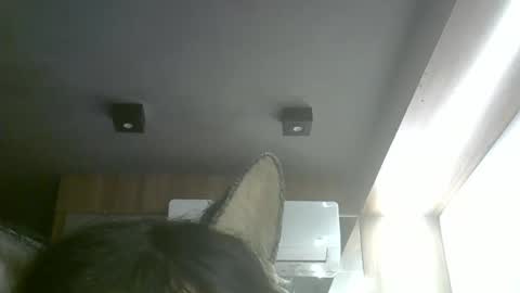 skinnykittencam online show from May 17, 11:08 am