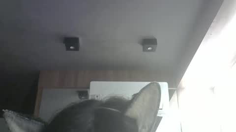 skinnykittencam online show from May 9, 8:04 pm