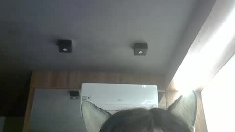 skinnykittencam online show from May 14, 10:02 am