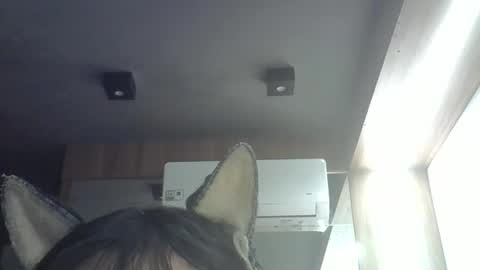 skinnykittencam online show from May 28, 2:42 am