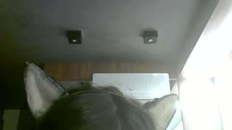skinnykittencam online show from May 31, 11:31 am