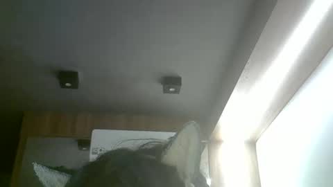 skinnykittencam online show from May 20, 2:19 am