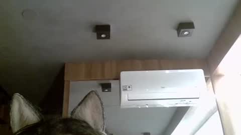 skinnykittencam online show from November 5, 2:57 am