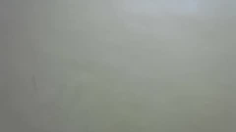 skylar2544 online show from December 17, 2:29 am