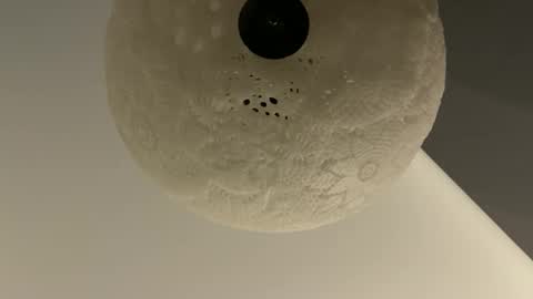 Snapshot of slimguy03 chatting on January 28, 3:25 am slimguy03 online show from January 28, 3:25 am