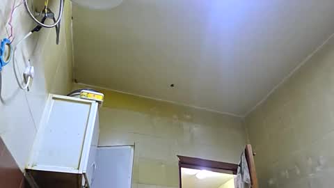 slothslav online show from November 2, 3:50 am