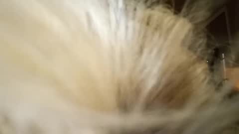 Fun time online show from April 4, 11:50 am