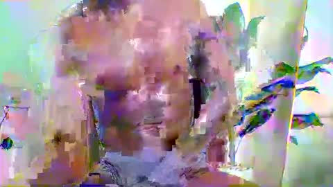 papi online show from September 28, 5:49 am