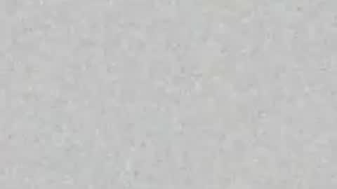 Snefty online show from June 30, 3:39 am