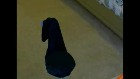 snizniz online show from December 2, 4:04 pm