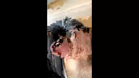 sobigfromitaly online show from October 22, 12:29 pm