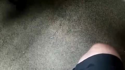 socalguy1369 online show from October 8, 8:26 pm