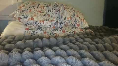 Snapshot of soccerstarnoww chatting on January 24, 10:00 am soccerstarnoww online show from January 24, 10:00 am